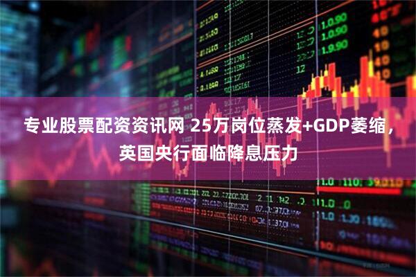 专业股票配资资讯网 25万岗位蒸发+GDP萎缩，英国央行面临降息压力